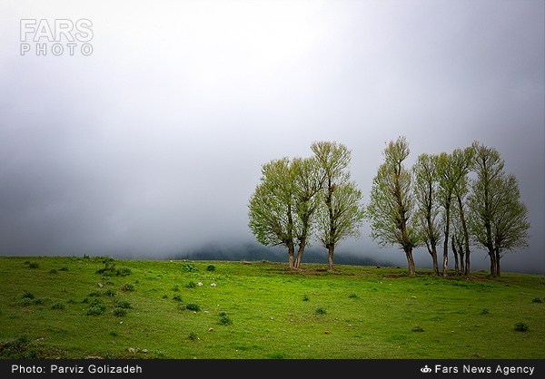 طبیعت ارسباران- آذربایجان شرقی (عکس)