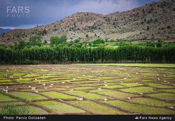 طبیعت ارسباران- آذربایجان شرقی (عکس)