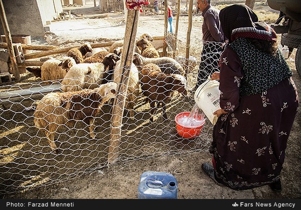 آبرسانی به روستاهای محروم کرمانشاه (عکس)