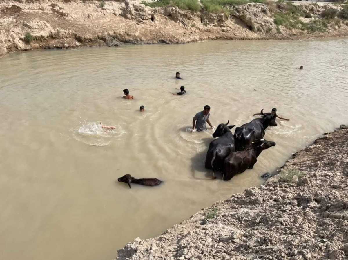 خوزستان؛ نهر 