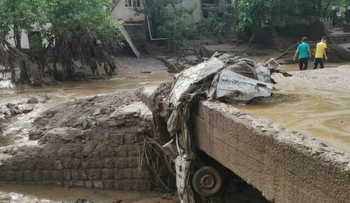 البرز/ سیل طالقان ۷۰ خودرو را برد/ از برخی خودروها هیچ اثری باقی نمانده است (+عکس)